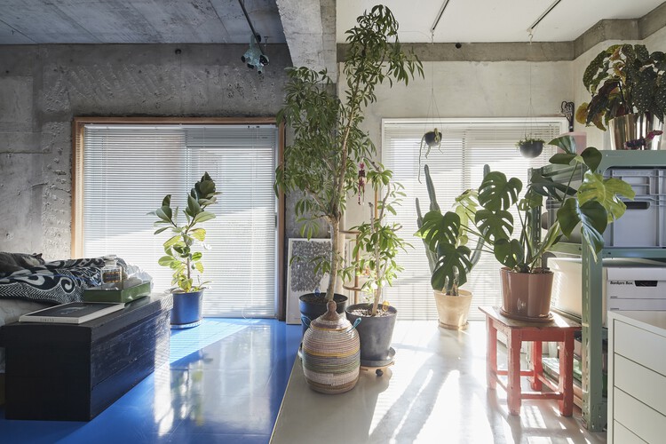 بازسازی آپارتمان آبی توکیو / ROOVICE - عکاسی داخلی