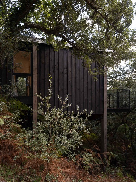 Soorts House and Cabin / formalocal - تصویر 6 از 26