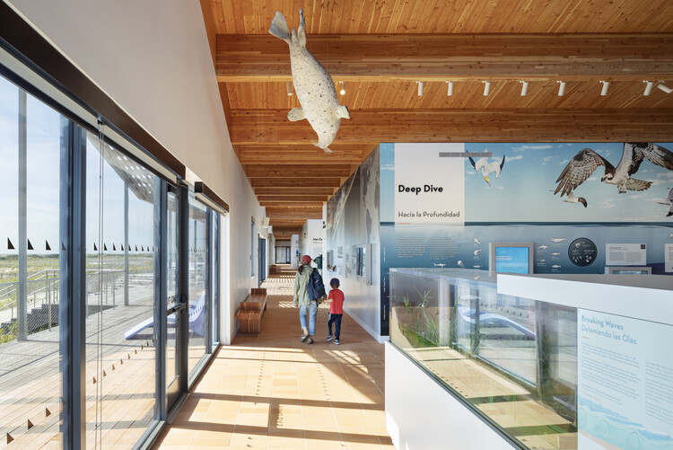 مرکز انرژی و طبیعت ساحل جونز / nArchitects - عکاسی داخلی، پله ها