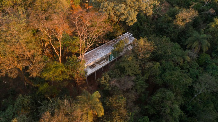 پسوند خانه برانکا / Piacesi Arquitetos Associados - عکاسی خارجی، جنگل