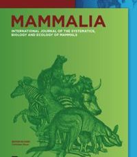 مقاله تقارن مورفولوژیکی Rhipidomys mastacalis (Mammalia، Rodentia، Cricetidae) در زیستگاه های تکه تکه شده جنگل اقیانوس اطلس در شمال شرقی برزیل: مطالعه ای بر روی تأثیر محیط بر یک گونه بومی Mammalia