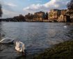 پاریس درباره شنای المپیک در رود سن “اطمینان” دارد