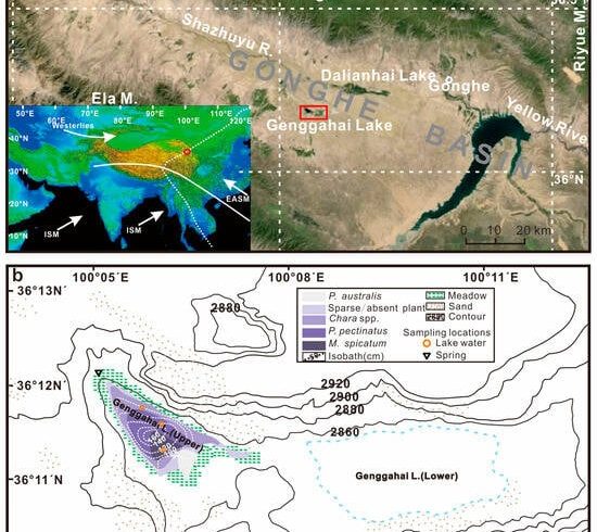 پایداری |  متن کامل رایگان |  تغییرات در δ۱۳CDIC و عوامل موثر در یک دریاچه ماکروفیت کم عمق در فلات چینگهای-تبت: پیامدهایی برای چرخه کربن منطقه ای و توسعه پایدار