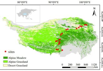 پایداری |  متن کامل رایگان |  هیدرولازها ترسیب کربن خاک را در علفزارهای آلپ در فلات تبت کنترل می کنند