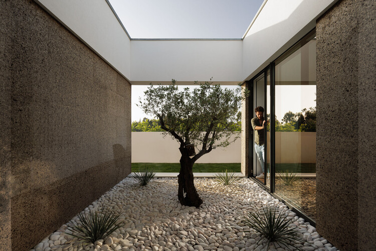 خانه AS / معمار ماریو آلوز - عکاسی داخلی، پنجره، نما