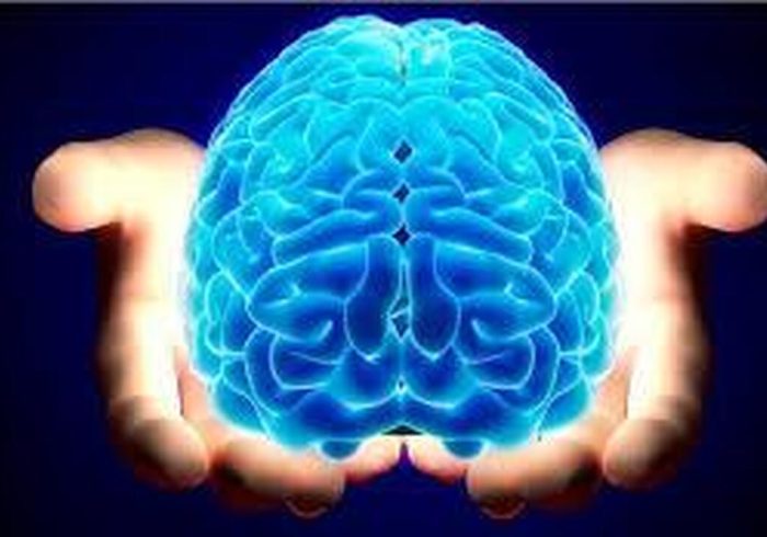 مغز قابلیت بازآفرینی دارد؛ تکنیک‌های موثر را بخوانید!