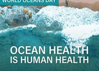 روز جهانی #اقیانوس ها مبارک باد یک #اقیانوس سالم می تواند مزایای حیاتی داشته باشد از جمله:…
