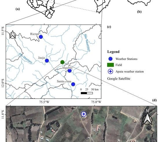 پایداری |  متن کامل رایگان |  ارزیابی بازده کشت Dryland Ulluco در مواجهه با سناریوهای تغییر آب و هوا در آند مرکزی پرو با استفاده از مدل AquaCrop