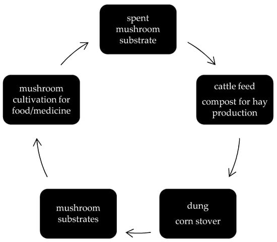 پایداری |  متن کامل رایگان |  افزایش سودآوری در تمام طول سال برای دامداران کوچک: تحلیل اقتصادی سیستم یکپارچه تولید گاو و قارچ