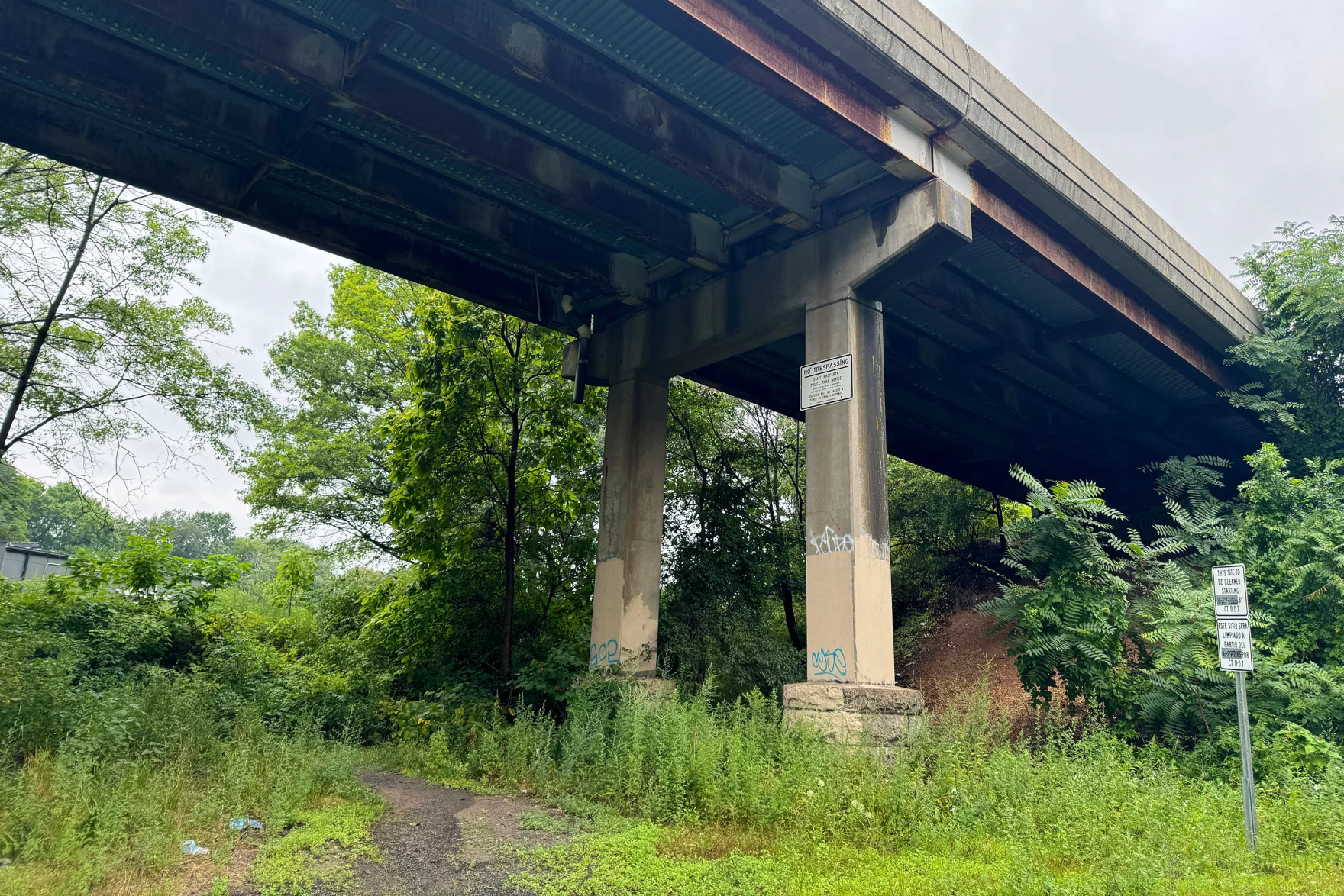 نیوهون از وسط نصف شد. یک توسکا در تلاش است آن را به هم بپیچد