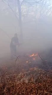 آتش در جنگل‌های کلاردشت شعله‌ور شد  مدیرکل مدیریت بحران استانداری مازندران، از شعله‌ور شدن آتش در جنگل‌های روستای پیشنبو…