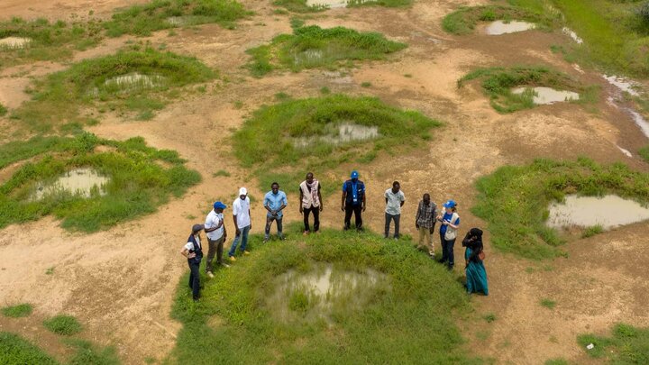 بازگشت پوشش گیاهی به قلب صحرای آفریقا با روش‌های سنتی و علمی