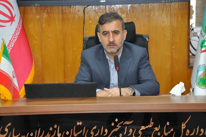 تولید بیش از ۶ میلیون اصله نهال در مازندران از ابتدای سال جاری