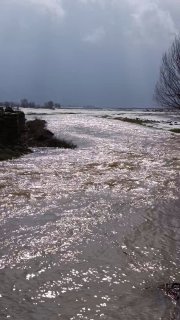 حرکت گسترده سیل به سمت دریاچه زریبار، با بارش‌های خوب اخیر،زریبار اکنون در آستانه سرریز کامل قرار دارد .به مابپیوندیدکا…