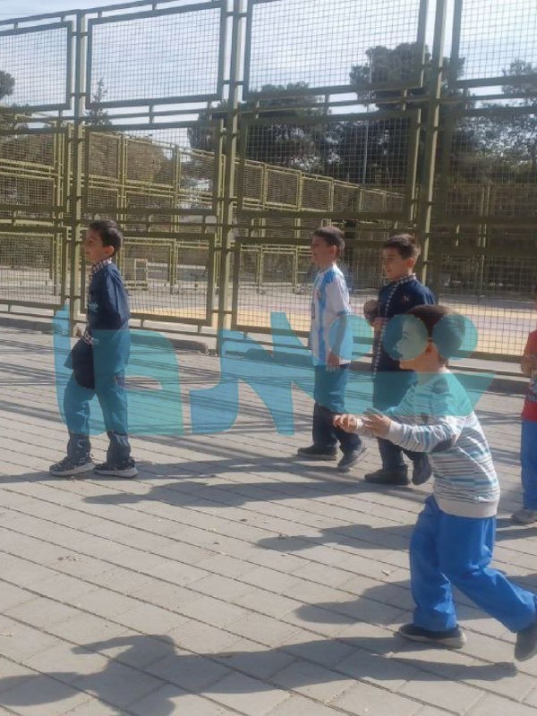 سگ های رها شده در زمین بازی کودکان و شهرداری تهران در خواب#ازشما یکی از  همراهان #شهرما با ارسال تصاویری نوشت: اینجا پا…