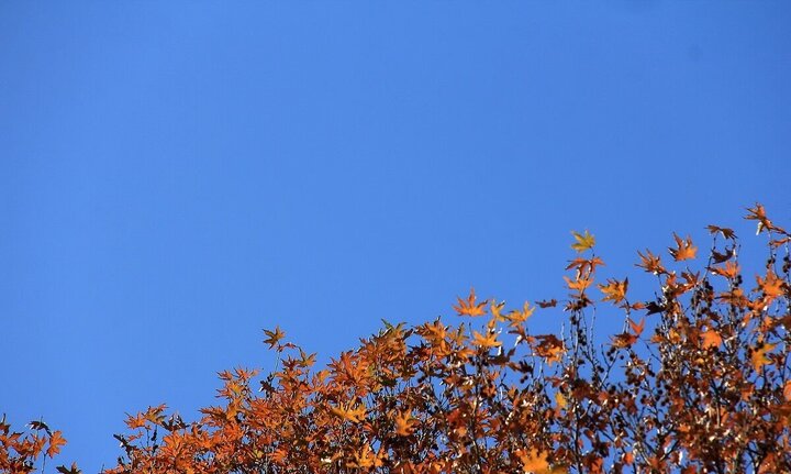 شاخص آلودگی هوای استان‌ها چهارشنبه ۶ اسفند/تنفس سبز در ۹ شهر کشور