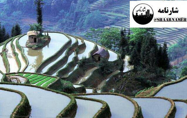 پایتخت باران دنیا؛ در هندوستان است شهری به نام قدیمی سهرا و نام جدید Cherrapunji با میانگین نزدیک به ۱۳ متر#گردشگری_شهری…